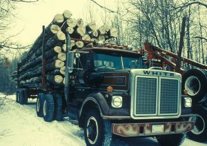 800px-A_truck_carries_many_aspen_cut_trees